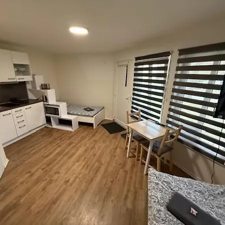 Gottwaldhaus-apartment- Valeria * פרייברג