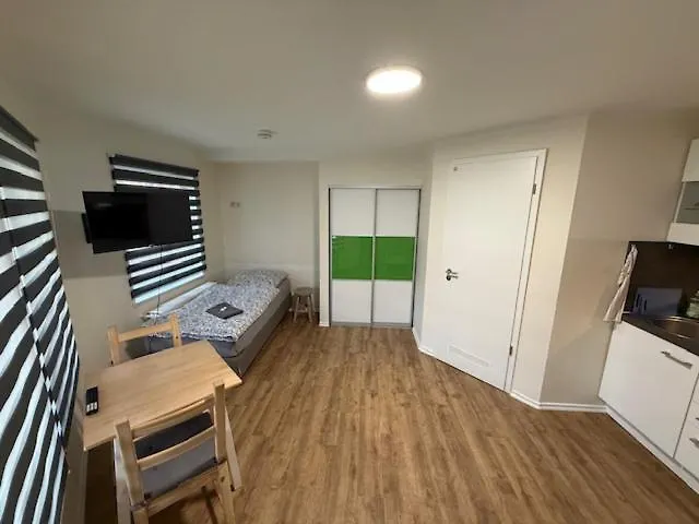Gottwaldhaus-apartment- Valeria פרייברג